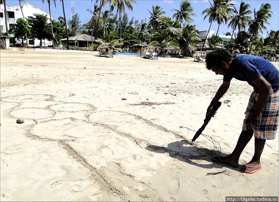 Трудно приходится мужчинам на Шри-Ланке. До сих пор сохраняется традиция, что жениться может лишь тот, кто нашел невесту с приданым. Но не всякая ведь за голодранца пойдет. Так что многим лишь остается рисовать свою мечту на песке. Не случайно у тамилов сложилась поговорка — Трудно приходится мужчинам на Шри-Ланке. До сих пор сохраняется традиция, что жениться может лишь тот, кто нашел невесту с приданым. Но не всякая ведь за голодранца пойдет. Так что многим лишь остается рисовать свою мечту на песке. Не случайно у тамилов сложилась поговорка —