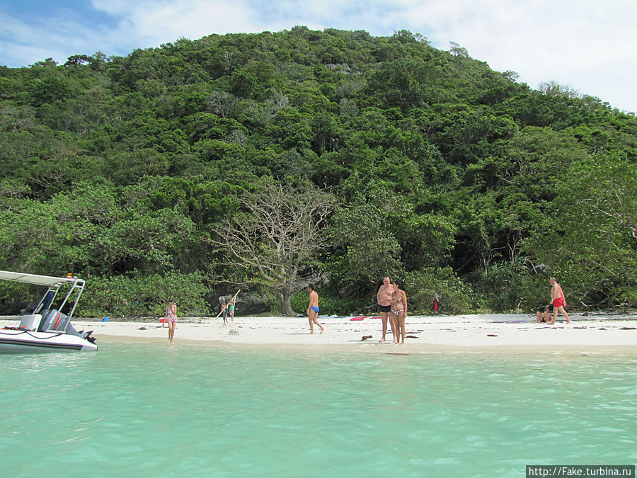 купаемся в морском заповеднике купаемся в морском заповеднике
