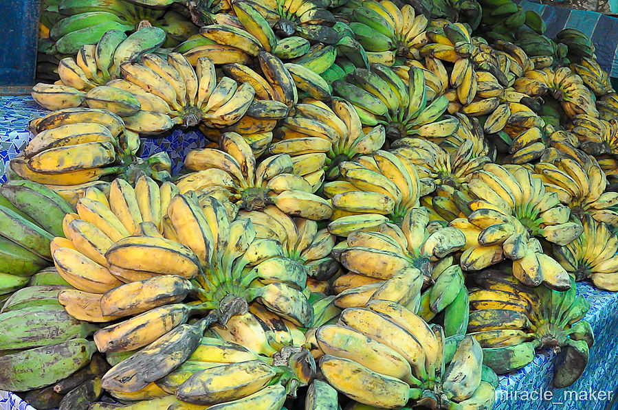 Зато бананы здешние — вне конкуренции! Бандар-Сери-Бегаван, Бруней