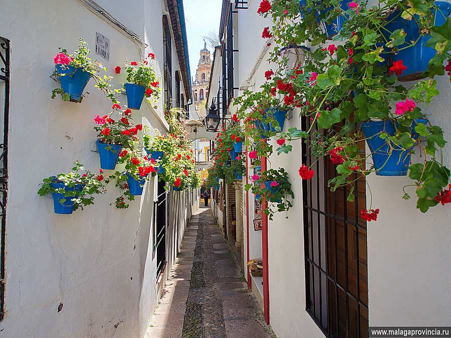 Знаменитые внутренние дворики Кордобы. Patios de Córdoba Кордова, Испания