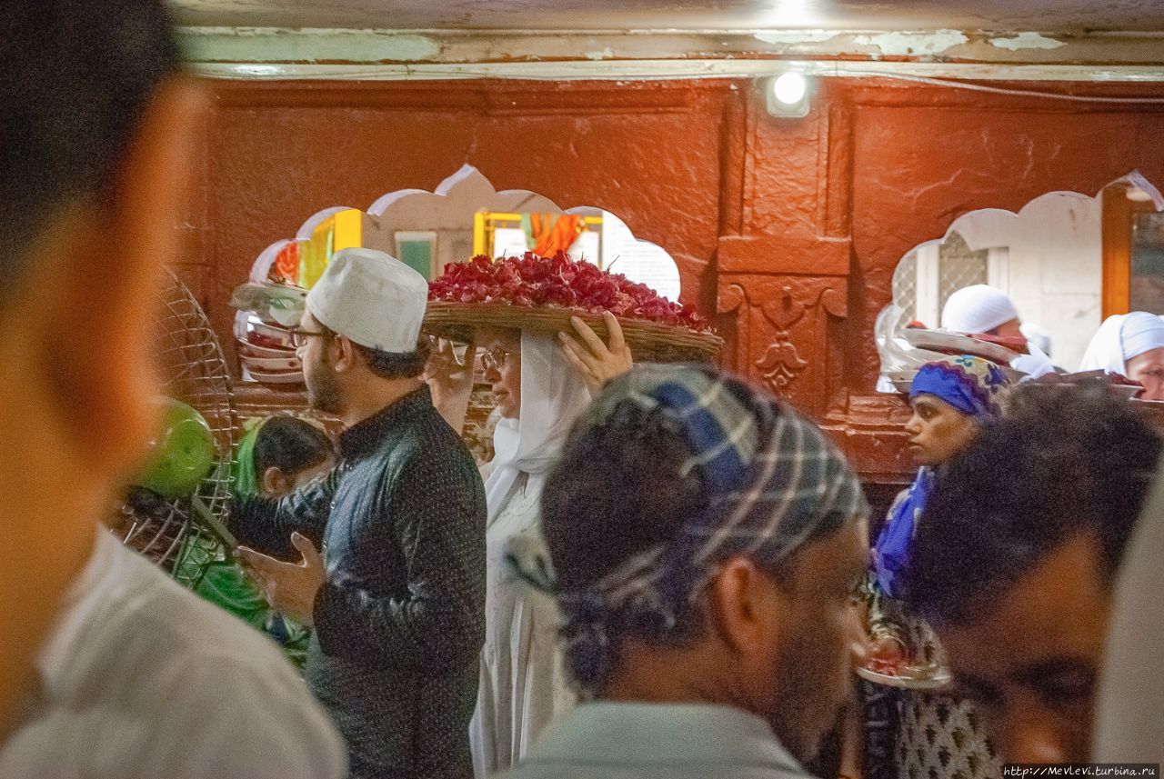 В гостях у ордена дервишей Чишти в Дели Дели, Индия