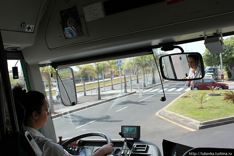 Женщины водители не редкость на автобусах компании Titsa. Остров Тенерифе, Испания