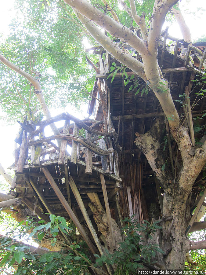 Pai Tree House Пай, Таиланд