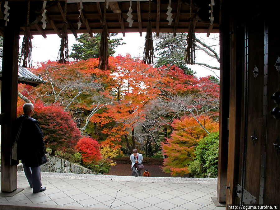 Мужчина любуется красотой огромных момидзи у ворот храма Бисямондо, Киото Япония