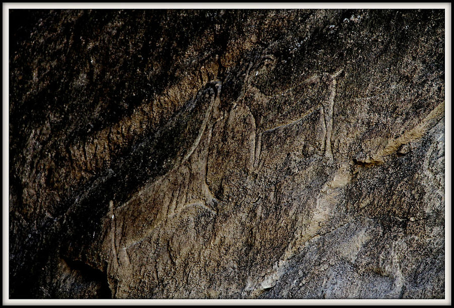 Изображения козлов. III—II тысячелетий до н. э. Гобустан, Азербайджан