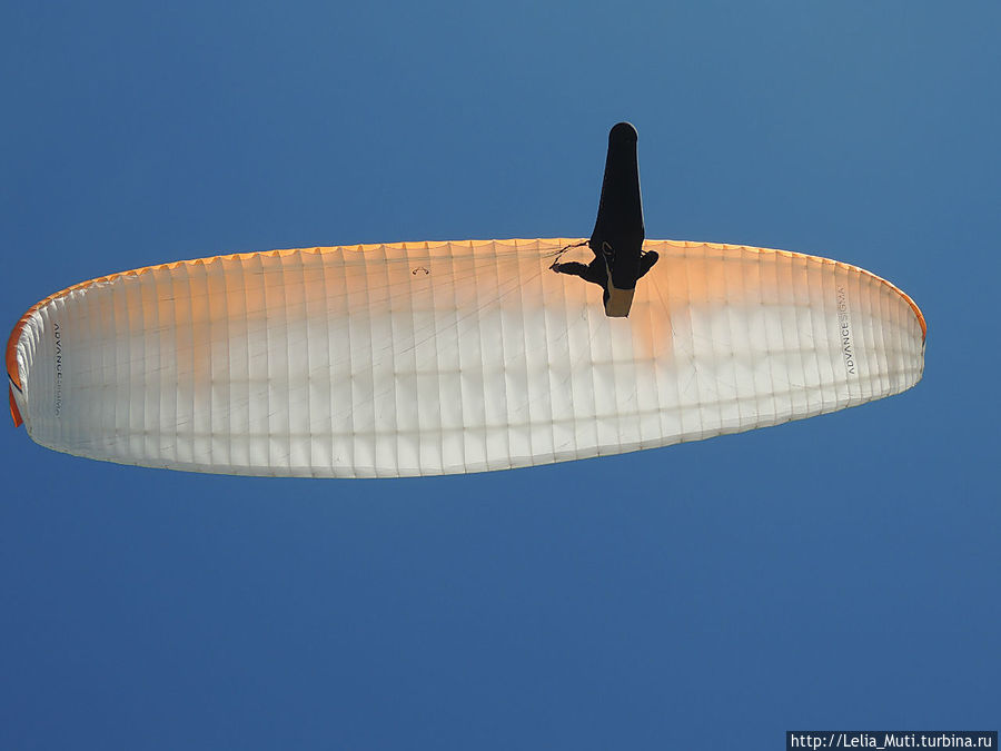 вид снизу Фуншал, Португалия вид снизу Фуншал, Португалия