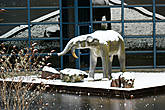 Слон (предположительно) у нового здания музея природоведения