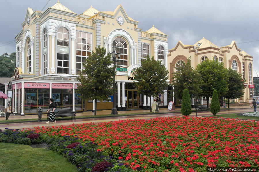 Где Купить В Городе Ставрополе