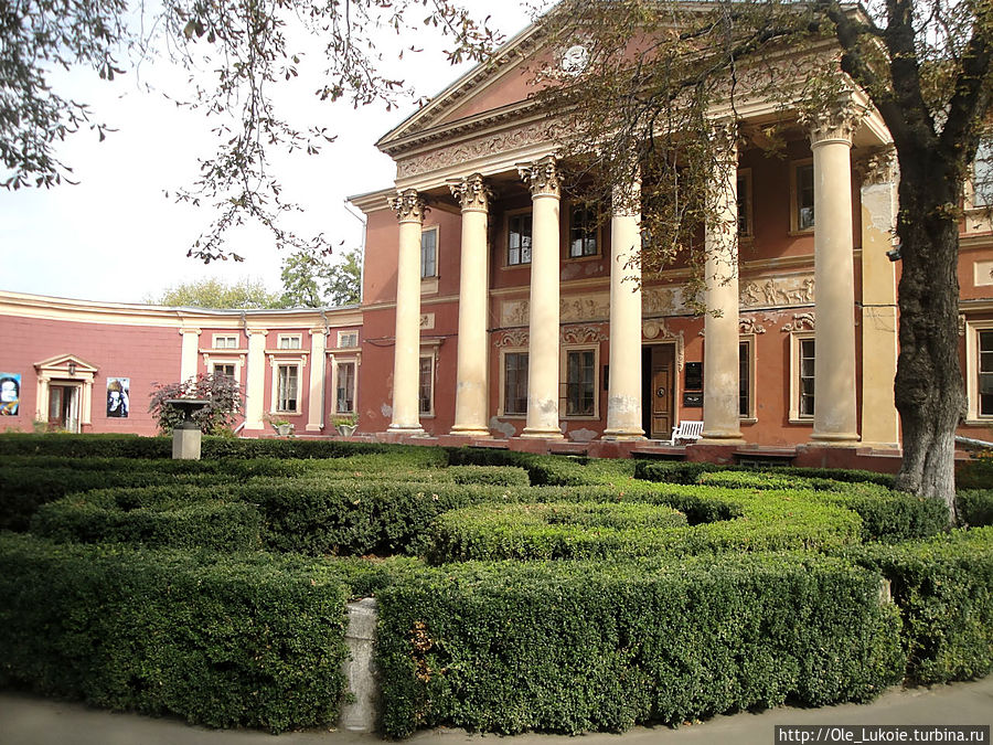 Художественный музей Художественный музей