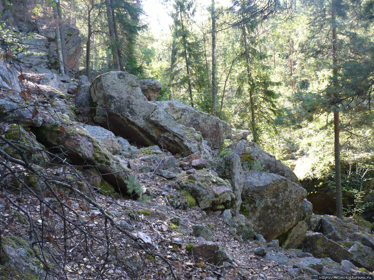 Небольшая прогулка по Лисьей тропе Реповеси Национальный Парк, Финляндия Небольшая прогулка по Лисьей тропе Реповеси Национальный Парк, Финляндия