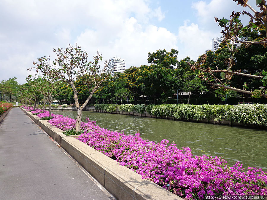 Бангкок. Парк Бенджакити Бангкок, Таиланд
