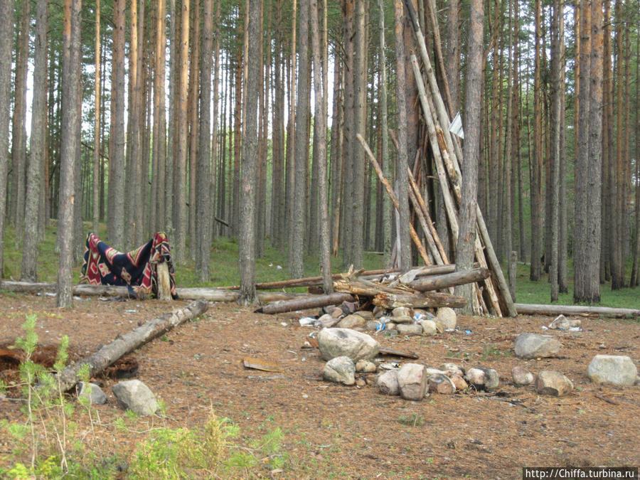 Какая-то большая стоянка в дебрях леса Республика Карелия, Россия