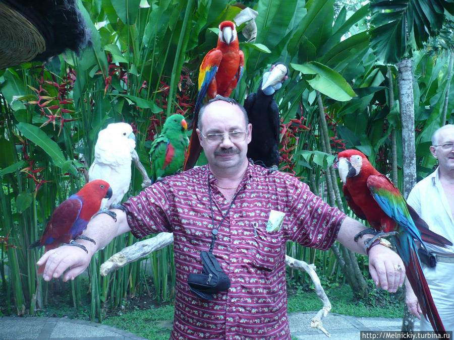 Парк птиц Батубулан, Индонезия