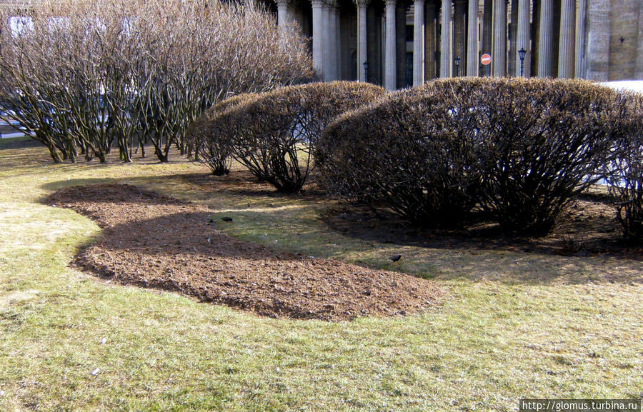 Городские зарисовки Санкт-Петербург, Россия Городские зарисовки Санкт-Петербург, Россия