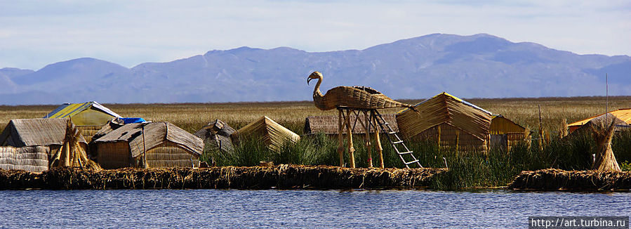 Строят для них вот такие смотровые площадки. Строят для них вот такие смотровые площадки.