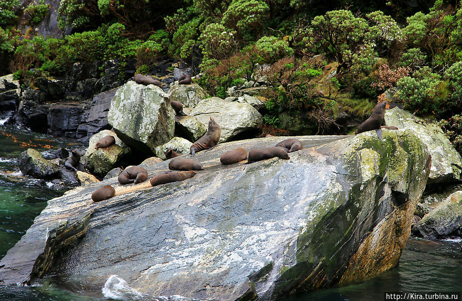 Milford Sound Milford Sound
