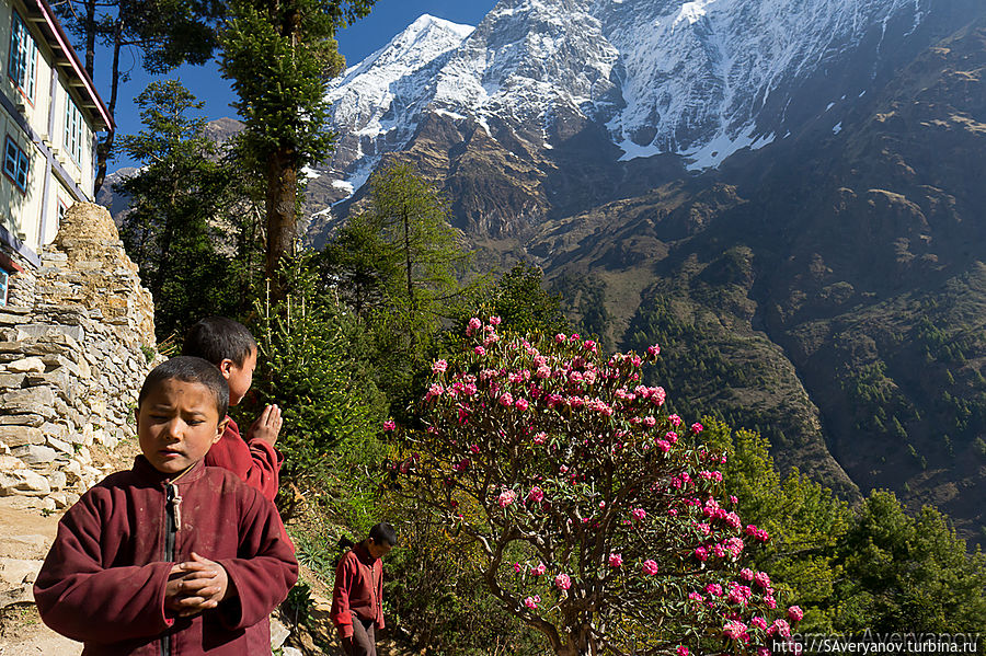 Ло Гомпа Непал
