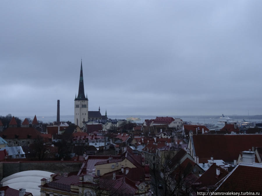 Таллин. Смотровая площадка Кохтуотса вечером и ранним утром Таллин, Эстония
