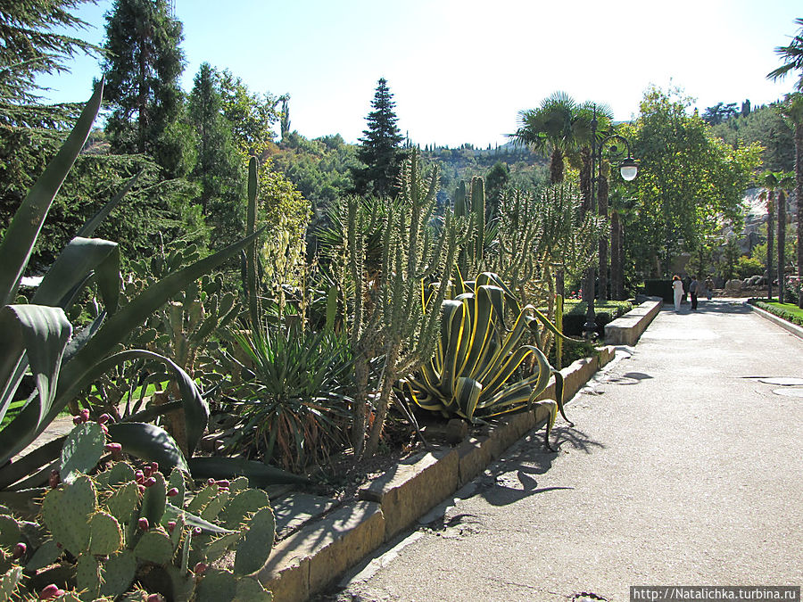 Партенит. Парк Айвазовского Партенит, Россия Партенит. Парк Айвазовского Партенит, Россия