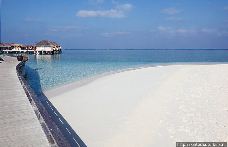 Мальдивы. Невыносимая легкость бытия Мальдивские острова