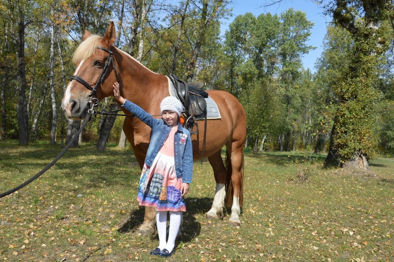 В гостях у «Рыжей лошади» Абакан, Россия
