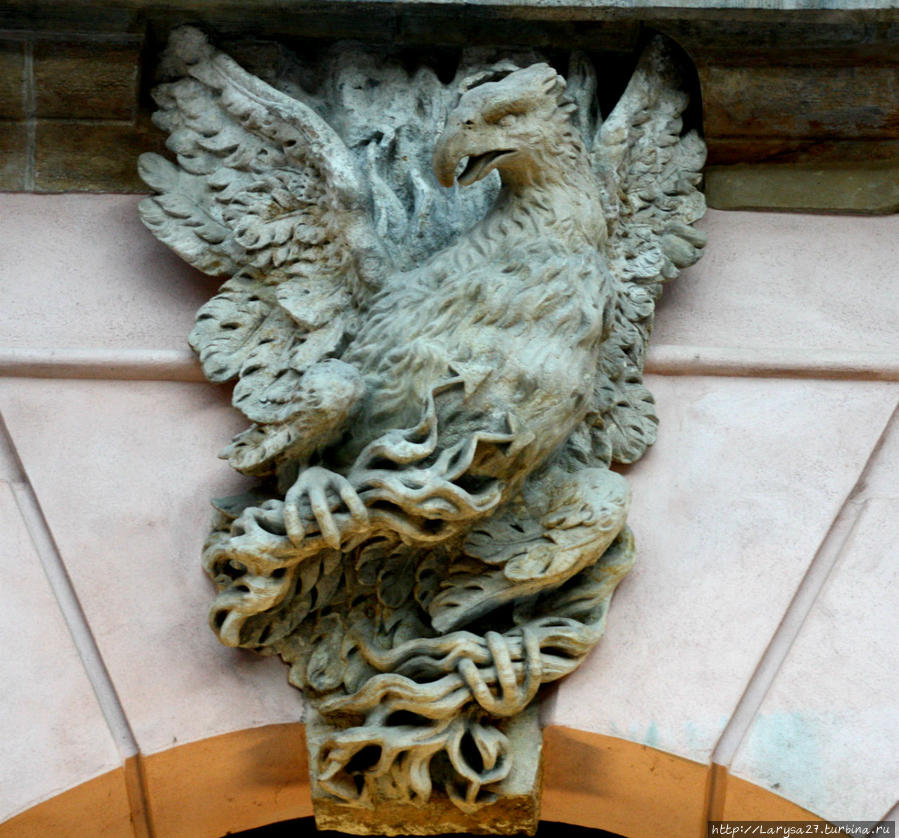 Орёл — царь среди птиц — символ храбрости, величия, победы, власти. Берлин, Германия