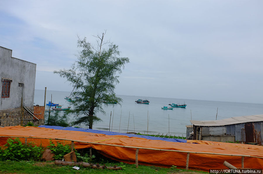 Под этим материалом на лотках сушат рыбу на солнце.Накрыли от дождя Под этим материалом на лотках сушат рыбу на солнце.Накрыли от дождя