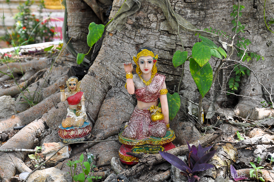 Поражает количество миниатюрных религиозных статуй, расставленных по всем закоулкам. Краби, Таиланд