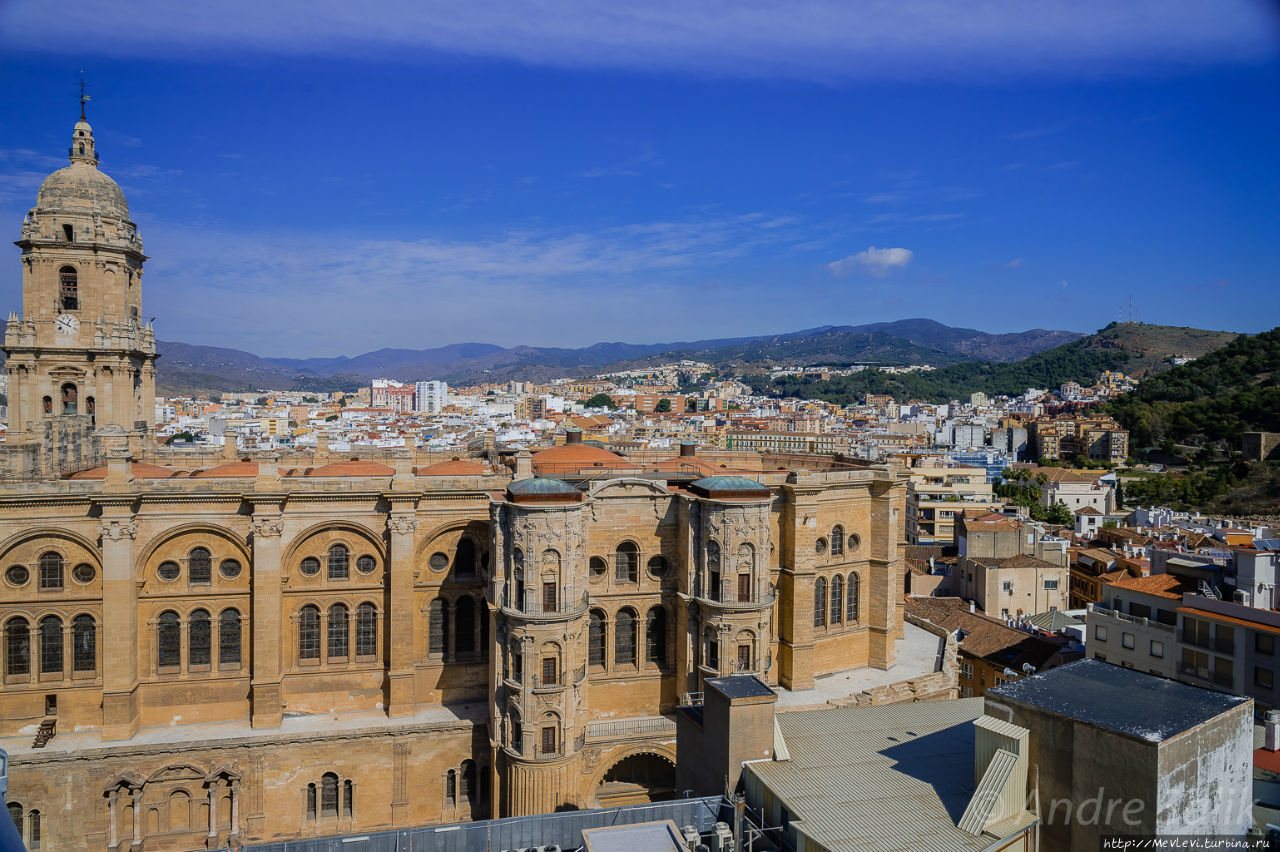 AC Hotel Málaga Palacio Малага, Испания