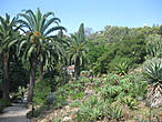 ботанический сад Мар и Муртра.
