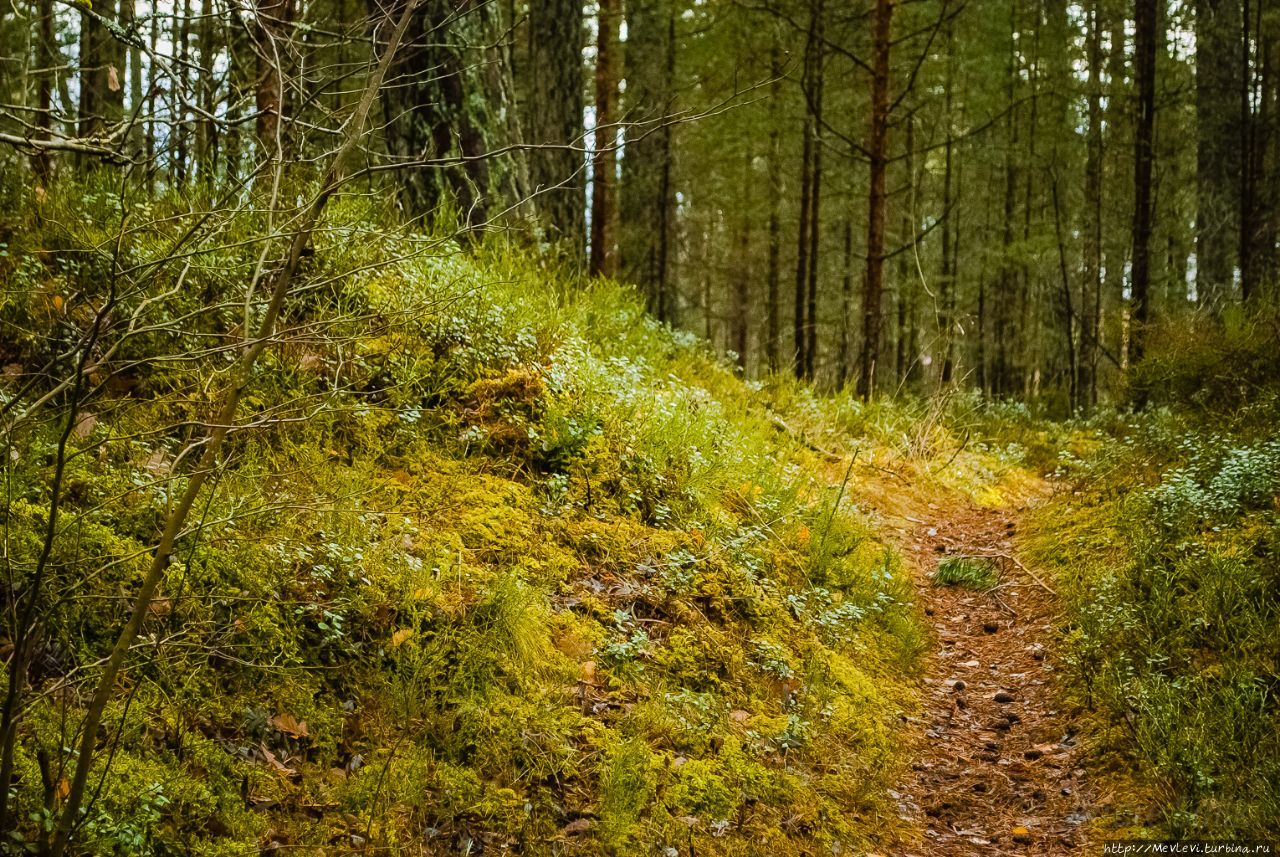 Природный парк Рагакапа Юрмала, Латвия