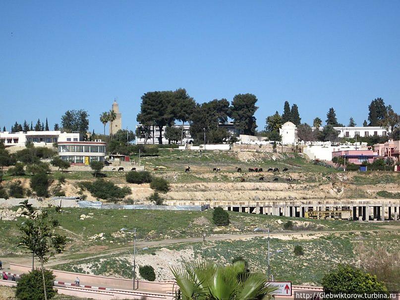 Мекнес. Кладбище Мекнес, Марокко
