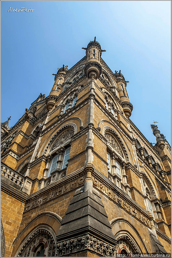 Взгляд снизу...
* Взгляд снизу...
*