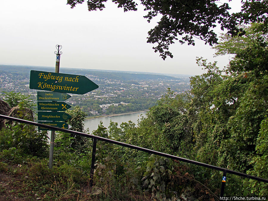 от сюда есть тропа по склону прямо в Кенигсвинтер от сюда есть тропа по склону прямо в Кенигсвинтер