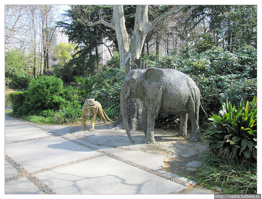 Зоопарк Шанхая Шанхай, Китай Зоопарк Шанхая Шанхай, Китай