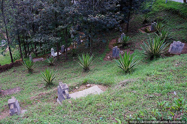 Кладбище Кладбище