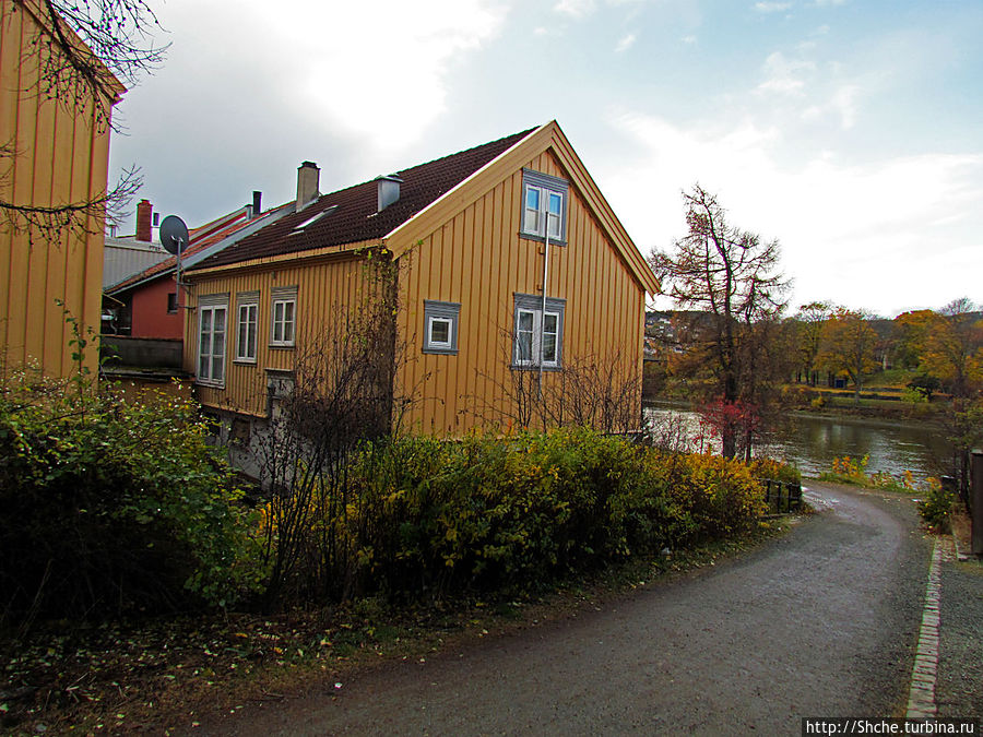 На берегах реки Нидельва (Nidelva) Тронхейм, Норвегия На берегах реки Нидельва (Nidelva) Тронхейм, Норвегия