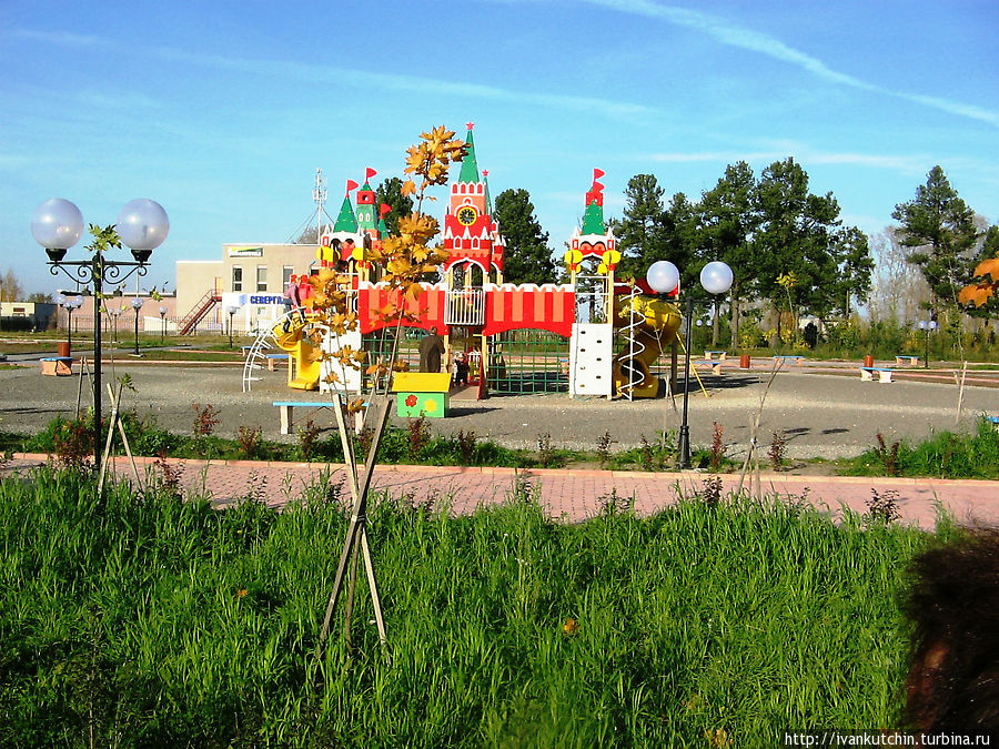 Александровский парк и кедровая роща Коряжма, Россия