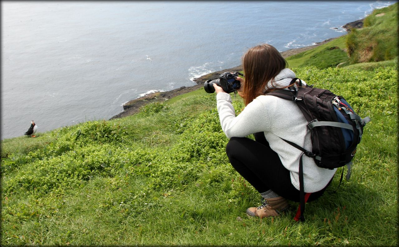 Носатый толстячок или пернатое очарование Фарерских островов Остров Мичинес, Фареры