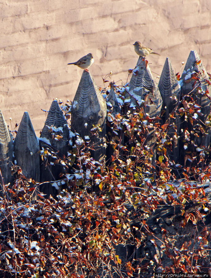 Первый снег всегда тает Харьков, Украина Первый снег всегда тает Харьков, Украина