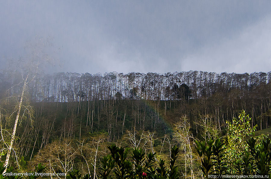 Вулкан Поас Поасито, Коста-Рика
