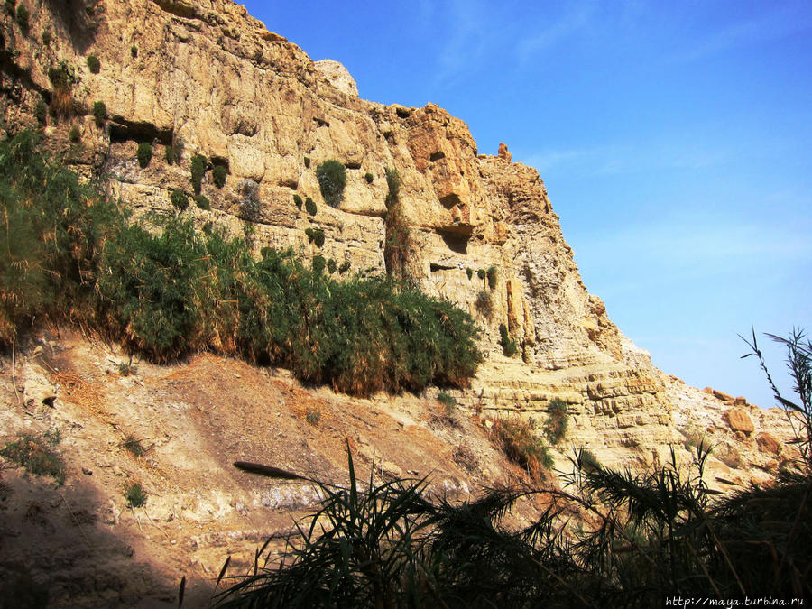 Загадки Иудейской пустыни Мертвое море, Израиль