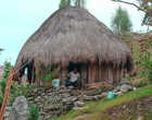Типичный дом папуасов Дани