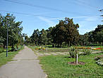 Вид на аллею сакур со стороны входа от станции метро Черниговская