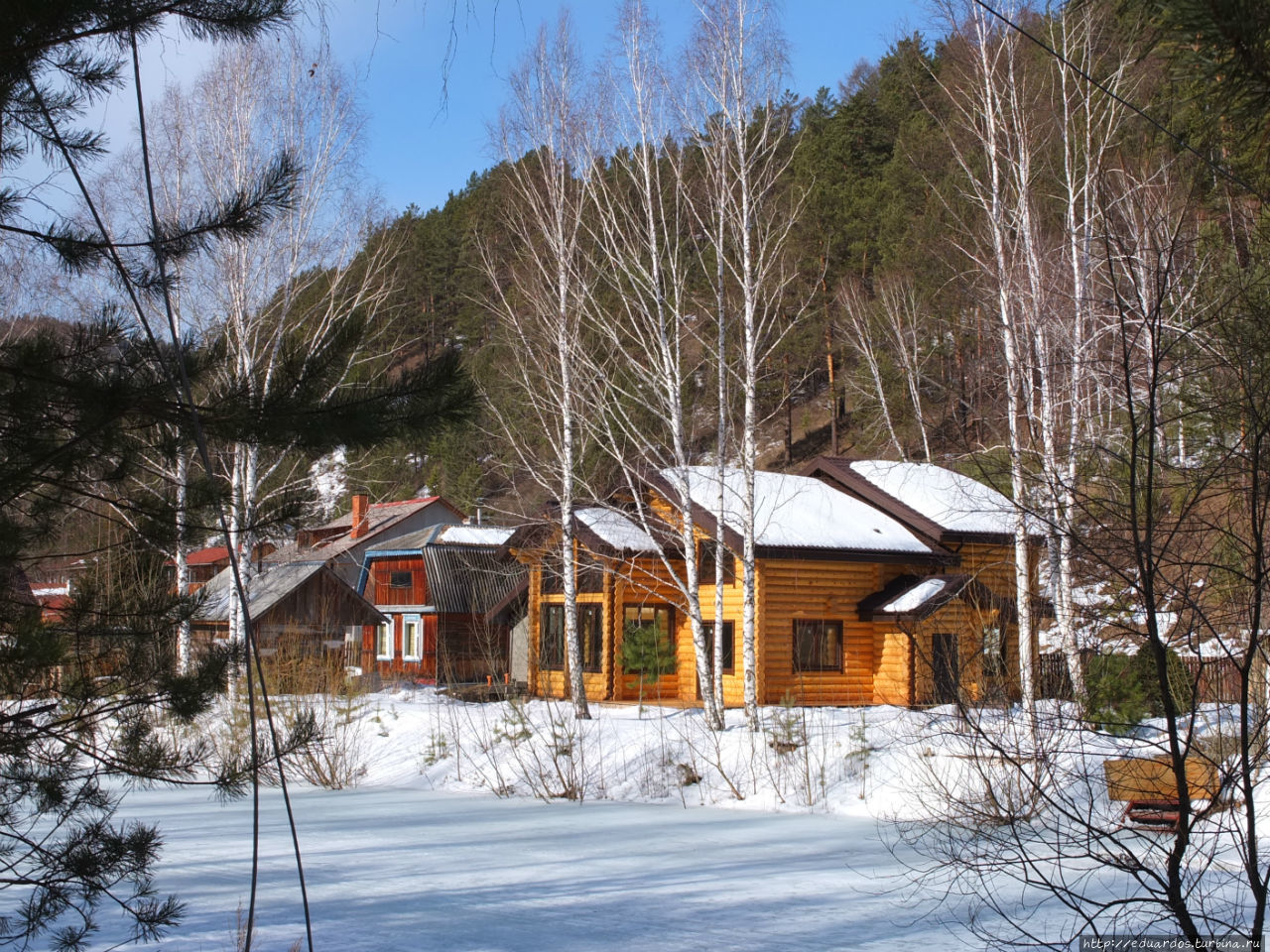 С настроением весеннего леса... Красноярск, Россия С настроением весеннего леса... Красноярск, Россия
