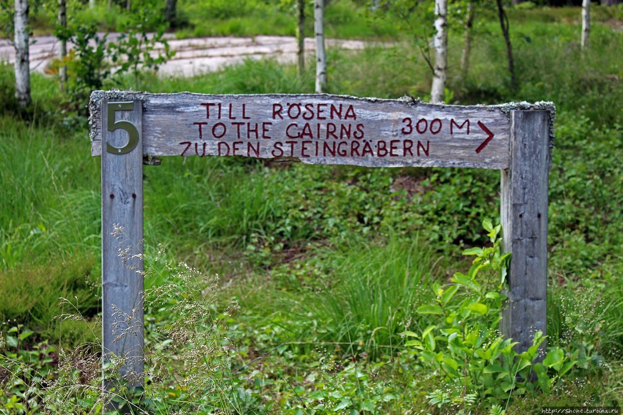 Погребальный курган Бронзового века Танум, Швеция