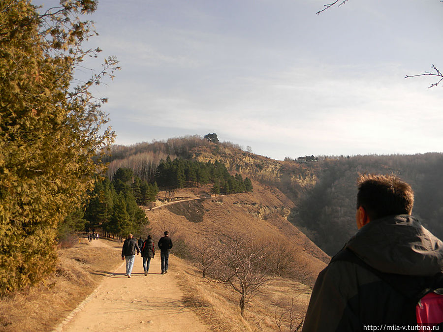 дорога к солнцу дорога к солнцу
