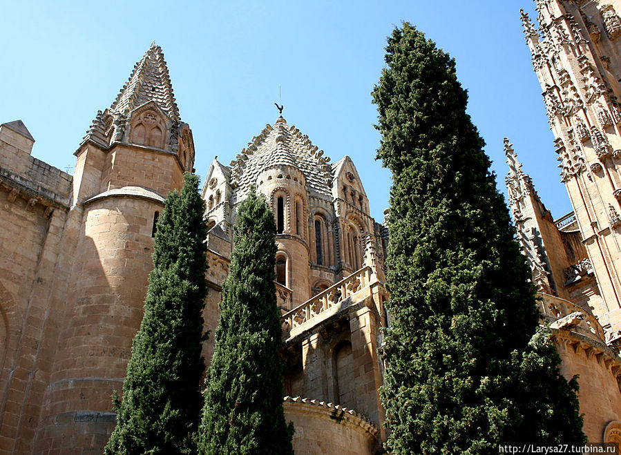 Старый Кафедральный собор Саламанки Саламанка, Испания