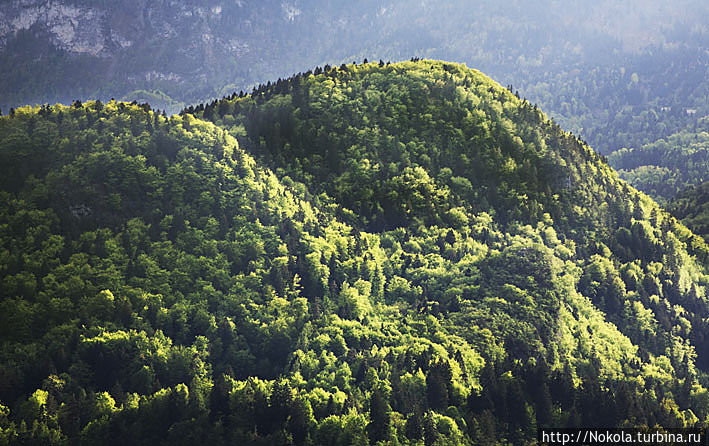 Засип — окрестности Бледа Юлийские Альпы, Словения