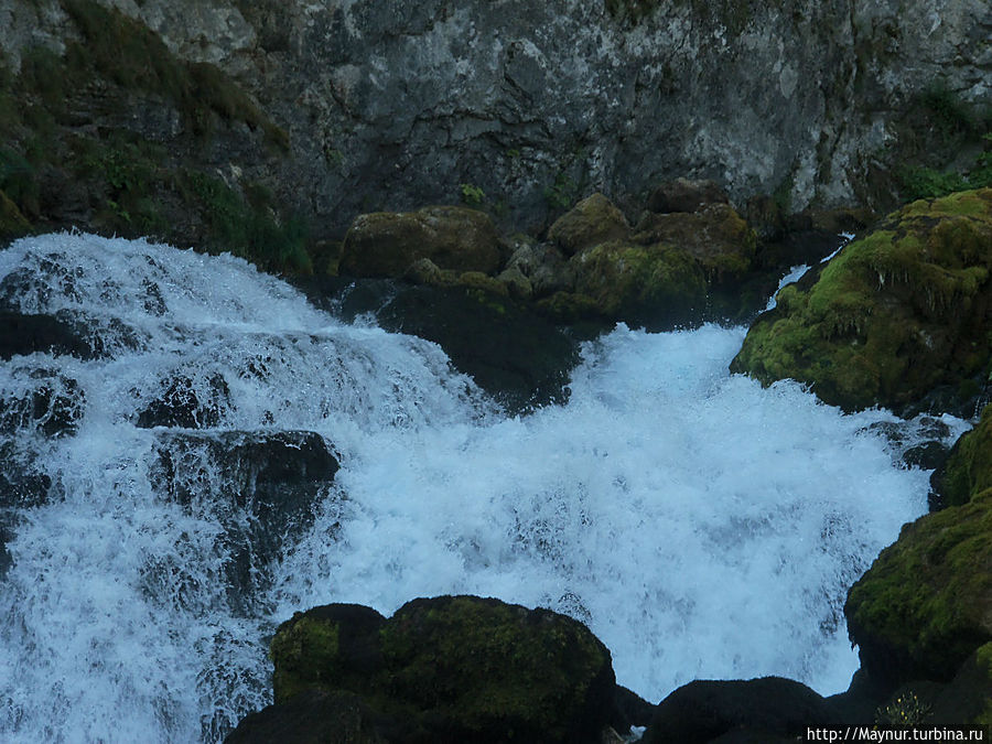 Приток  реки Тары.Очень короткий, но очень мощный. Вода течет где-то в горе,затем широким и сильным потоком вырывается из-под скалы. Жабляк, Черногория